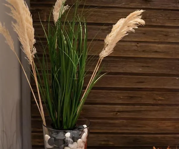 公寓 Vanha Kanttorila 罗威萨